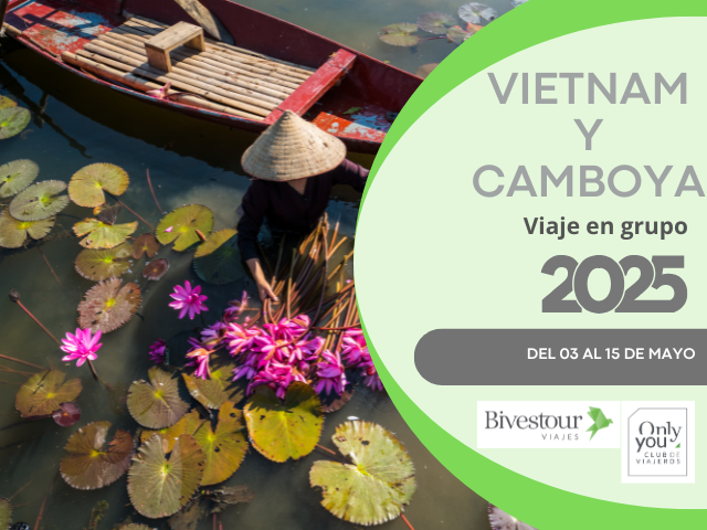 vietnam web
